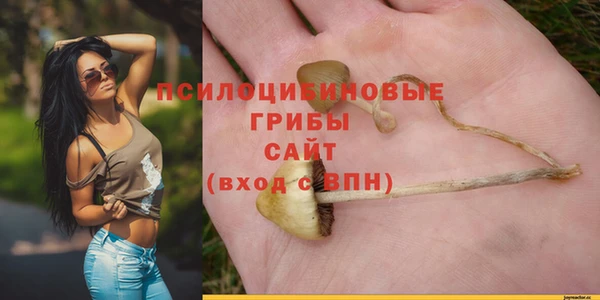 PSILOCYBIN Алзамай