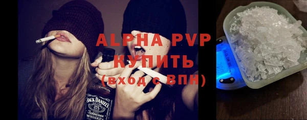 PSILOCYBIN Алзамай