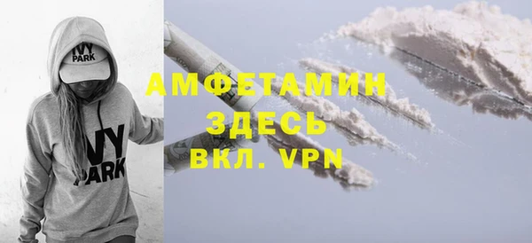 PSILOCYBIN Алзамай