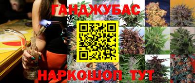 mdpv Новозыбков