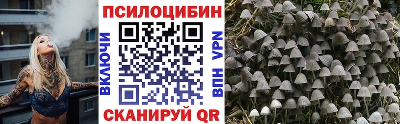 Псилоцибиновые грибы MAGIC MUSHROOMS  Элиста 