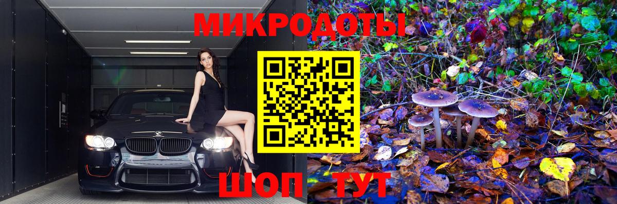 Элиста  Псилоцибиновые грибы MAGIC MUSHROOMS  Вход с VPN 